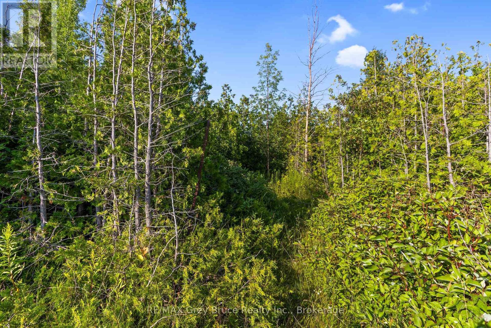 Part 10 Highway 6, Northern Bruce Peninsula, ON