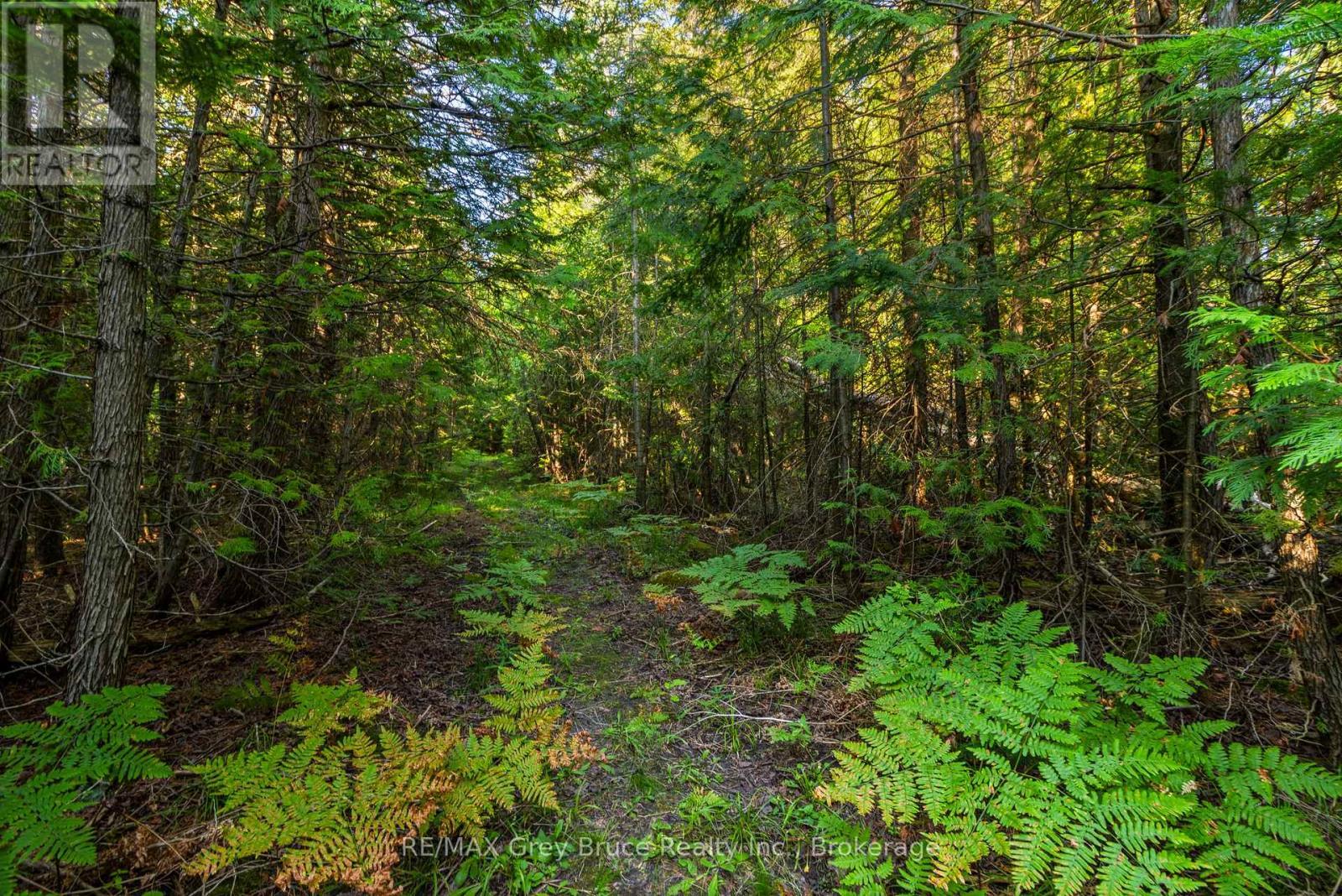 Part 10 Highway 6, Northern Bruce Peninsula, ON