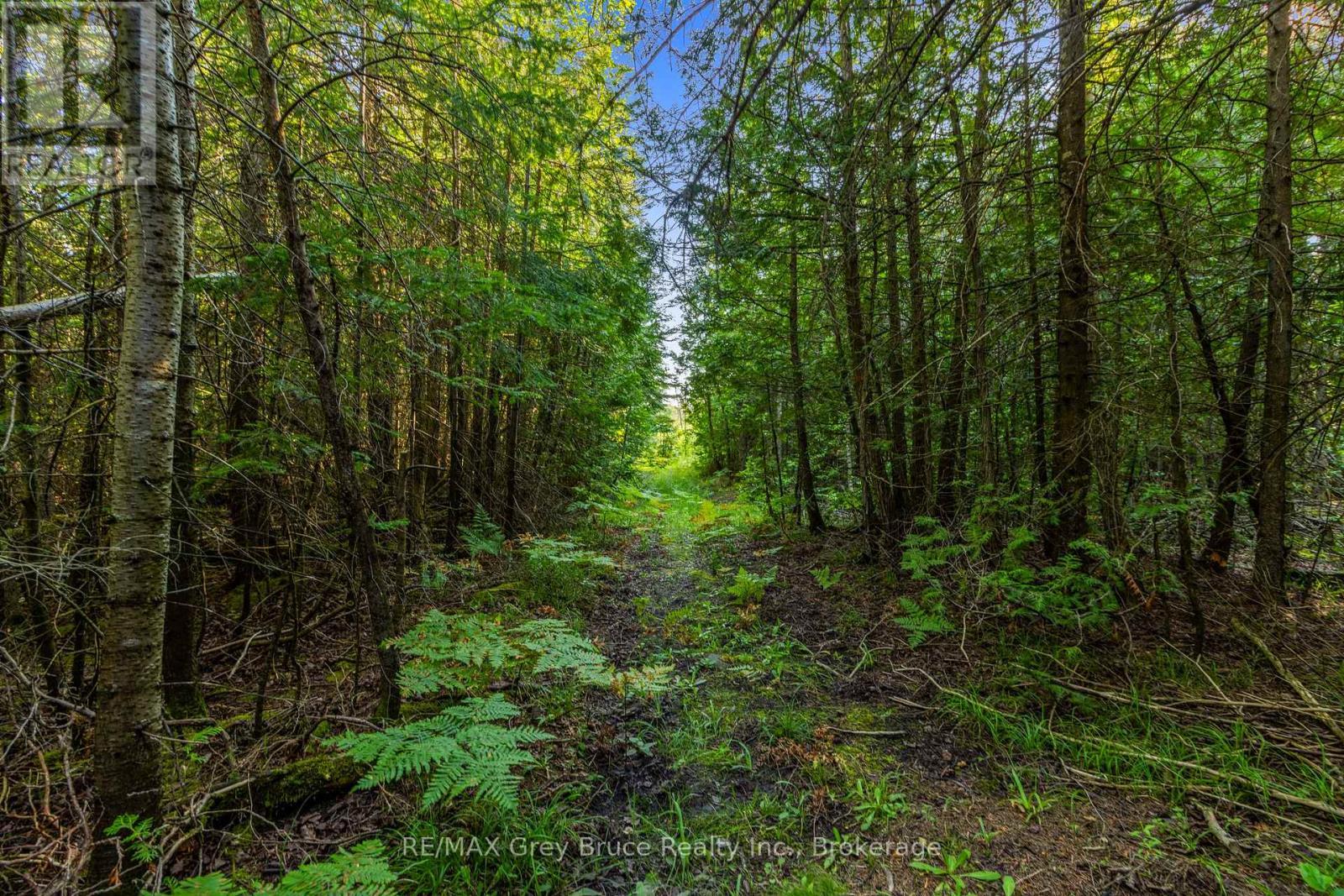 Part 10 Highway 6, Northern Bruce Peninsula, ON