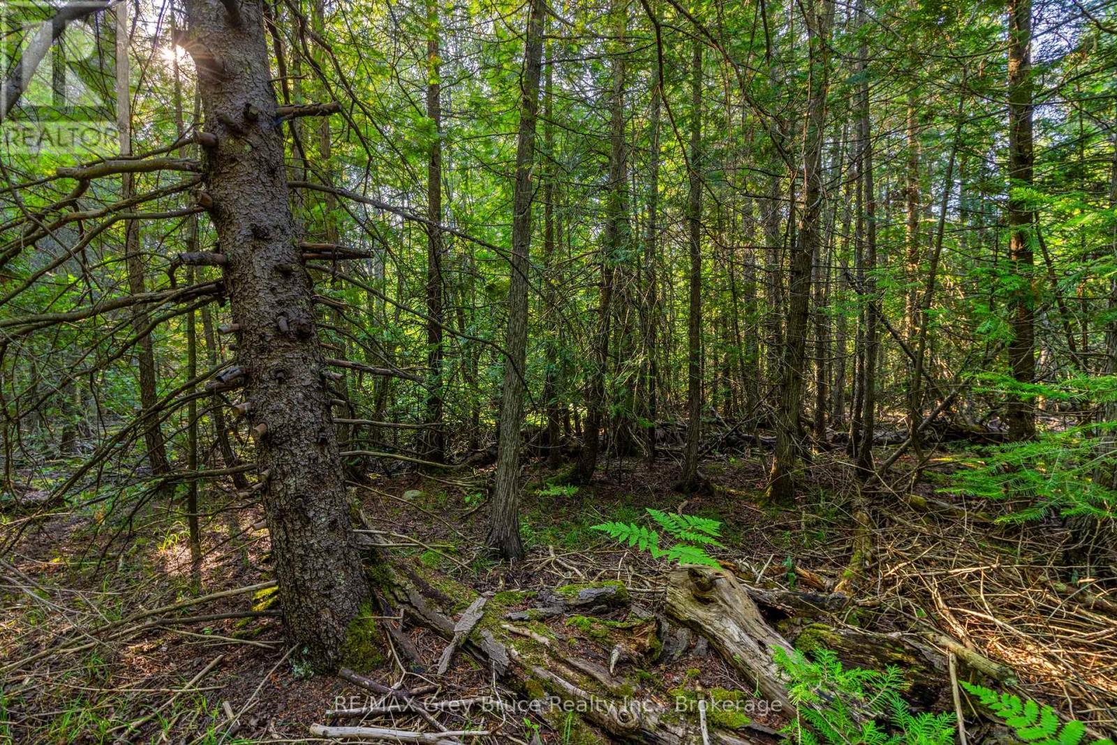 Part 10 Highway 6, Northern Bruce Peninsula, ON