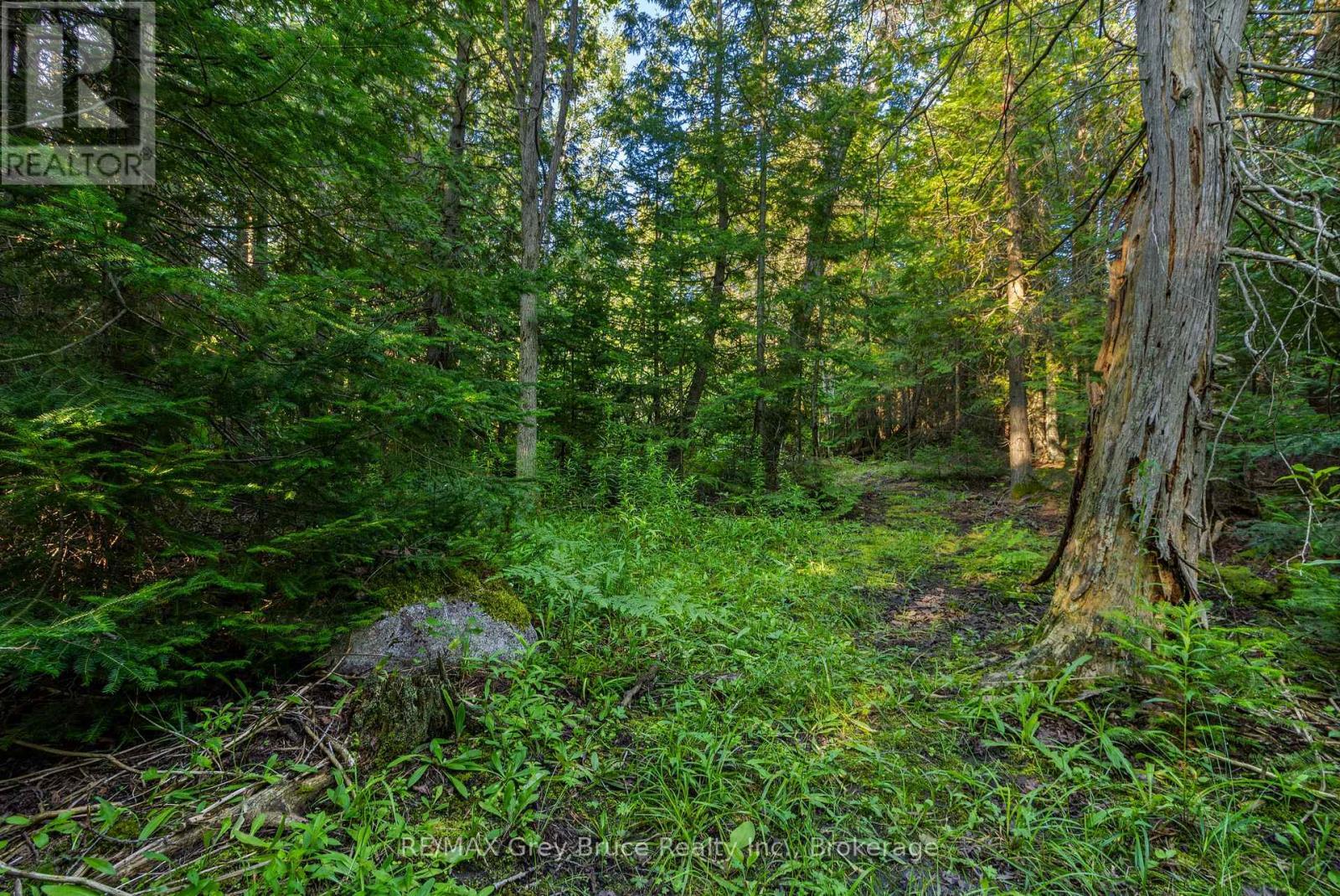 Part 10 Highway 6, Northern Bruce Peninsula, ON