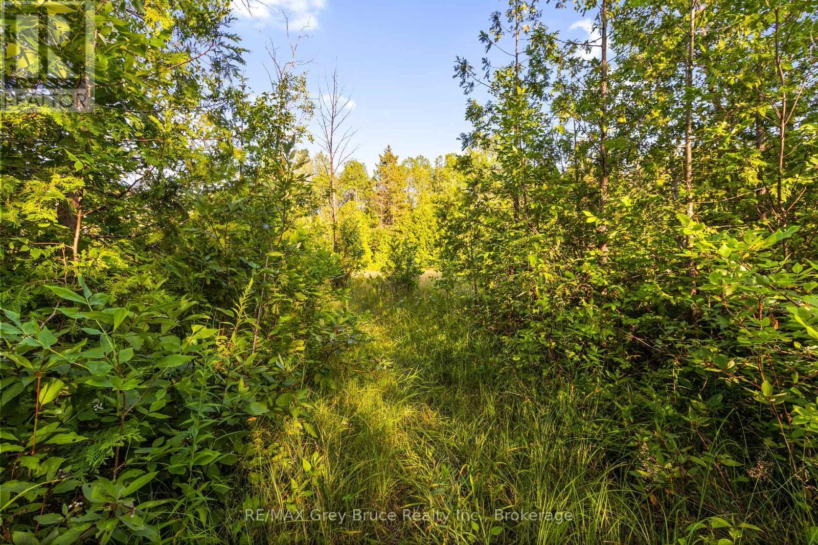 Part 10 Highway 6, Northern Bruce Peninsula, ON