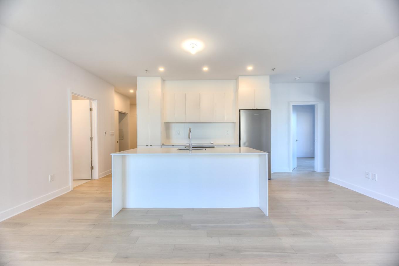 Kitchen - 906-1971 Rue Du Havre, Montréal (Ville-Marie), QC - Indoor Photo Showing Kitchen