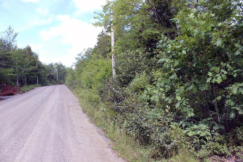 Lot 5 Trout Lake Road, New Albany, NS