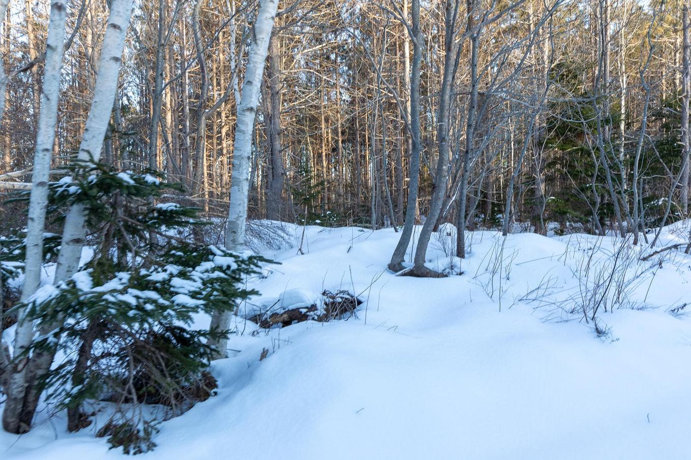 Lot 18 Swallow Point Road, Goose River, PE