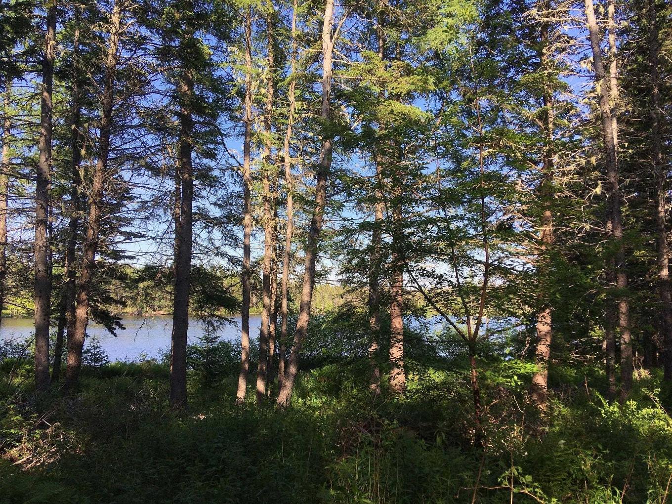 Peter Sosna Drive, Hay Cove, NS