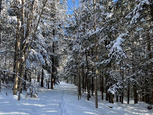 Other - 407 Ch. Du Mont-Écho, Sutton, QC - Outdoor