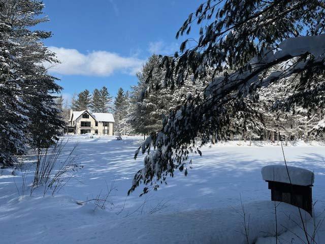 Exterior - 407 Ch. Du Mont-Écho, Sutton, QC - Outdoor