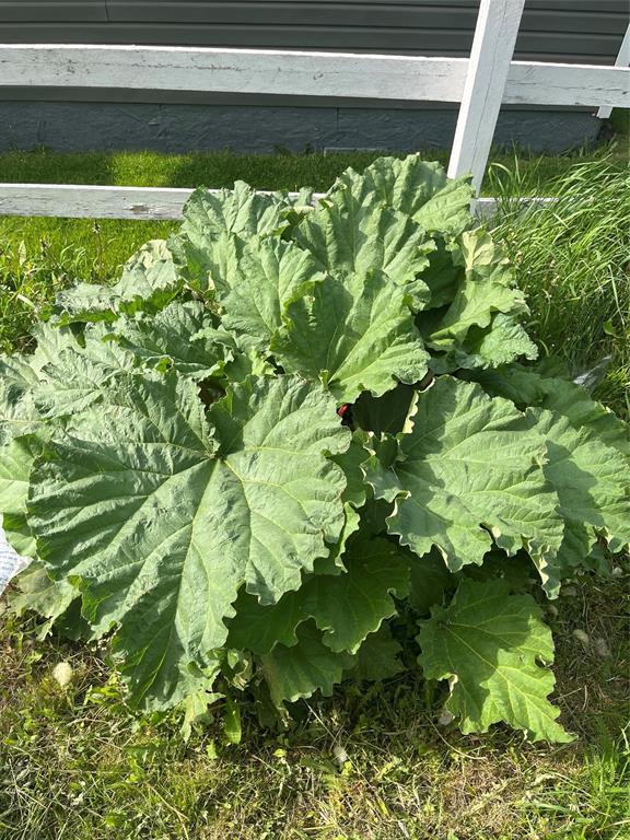 15 Groves Lane, Bonavista, NL