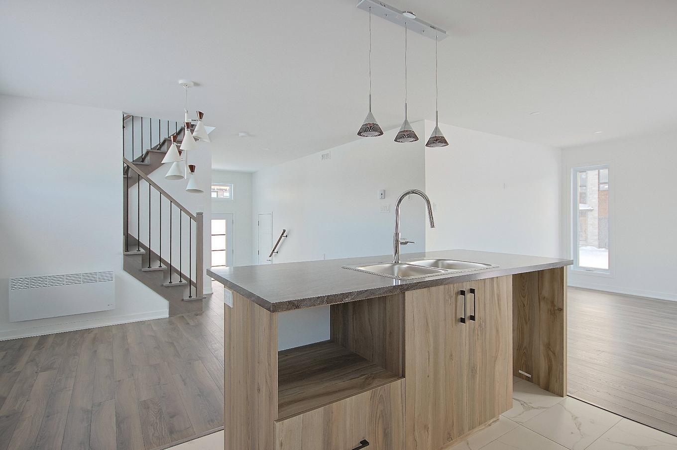 Kitchen - Rue Pierre-Dionne, Salaberry-De-Valleyfield, QC - Indoor Photo Showing Kitchen With Double Sink