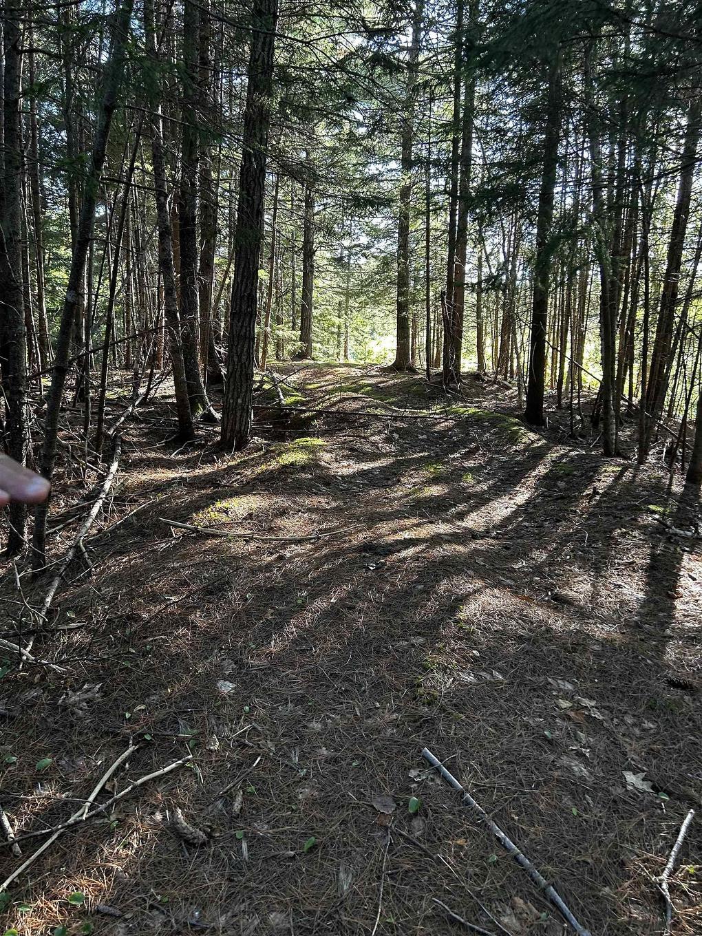 Unit 3 Forsythe Road South Road, White Rock, NS