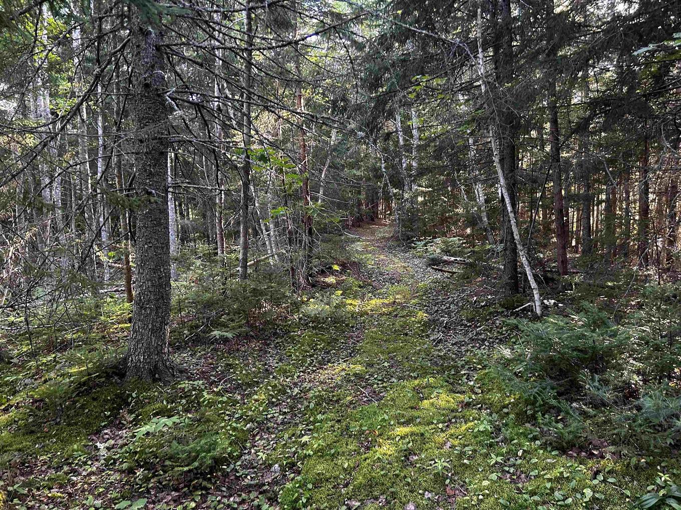 Unit 3 Forsythe Road South Road, White Rock, NS