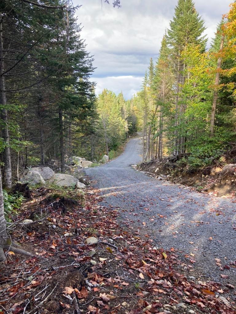 Land/Lot - Ch. Des Hauteurs, Sainte-Lucie-Des-Laurentides, QC
