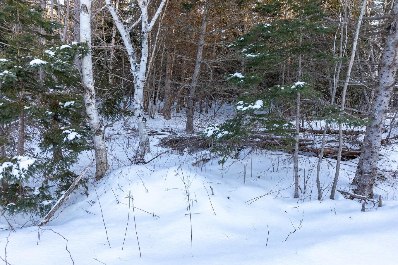 Lot 20 Swallow Point Road, Goose River, PE