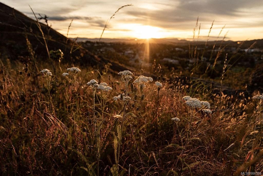 4-203-4201 Tyndall Ave, Saanich, BC