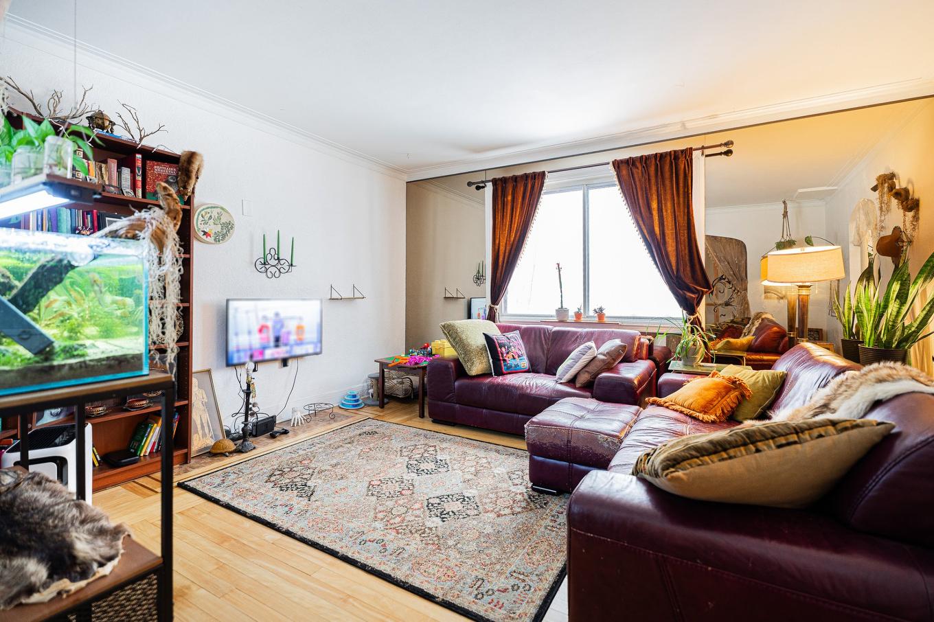 Living room - 4607 - 4609 Av. Coolbrook, Montréal (Côte-Des-Neiges/Notre-Dame-De-Grâce), QC - Indoor Photo Showing Living Room