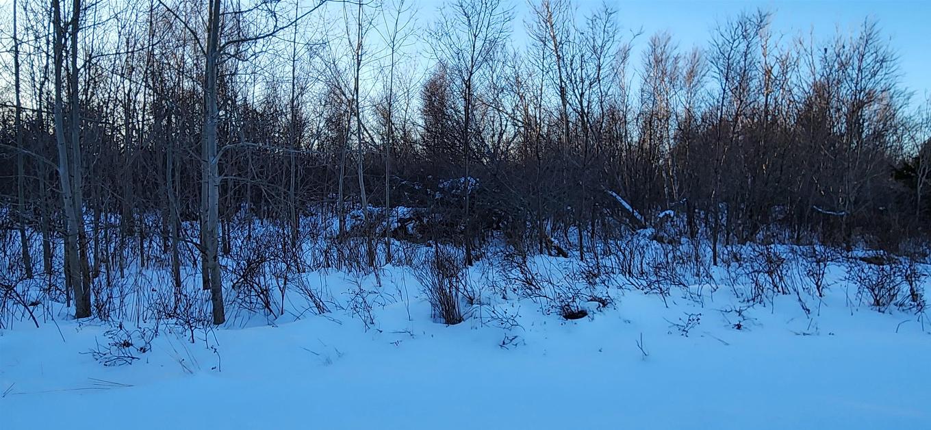 Tbd Mac'S Lane, Tracadie, PE