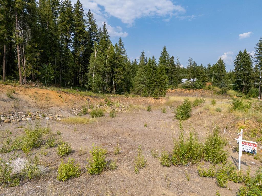 461 Lytton Crescent, Clearwater, BC - Outdoor With View