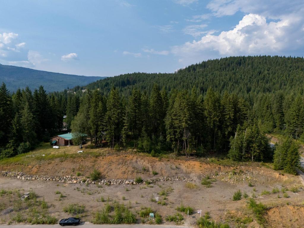 461 Lytton Crescent, Clearwater, BC - Outdoor With View