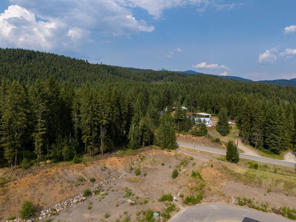 461 Lytton Crescent, Clearwater, BC - Outdoor With View