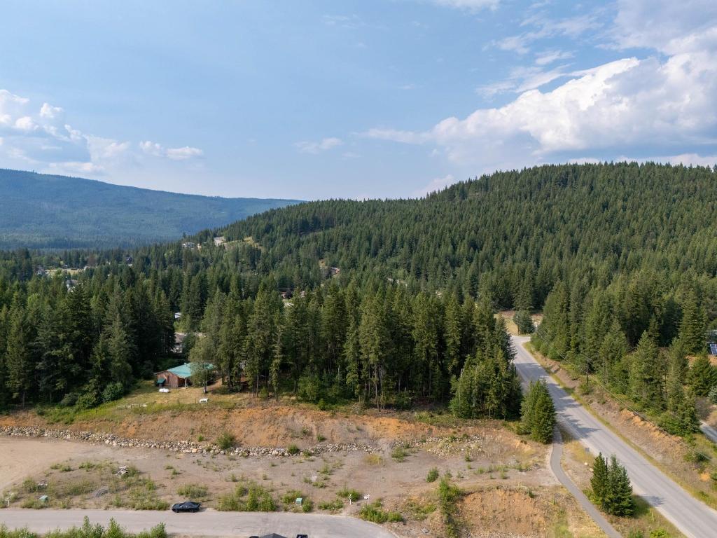 461 Lytton Crescent, Clearwater, BC - Outdoor With View