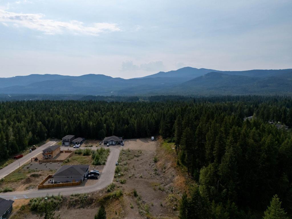 461 Lytton Crescent, Clearwater, BC - Outdoor With View