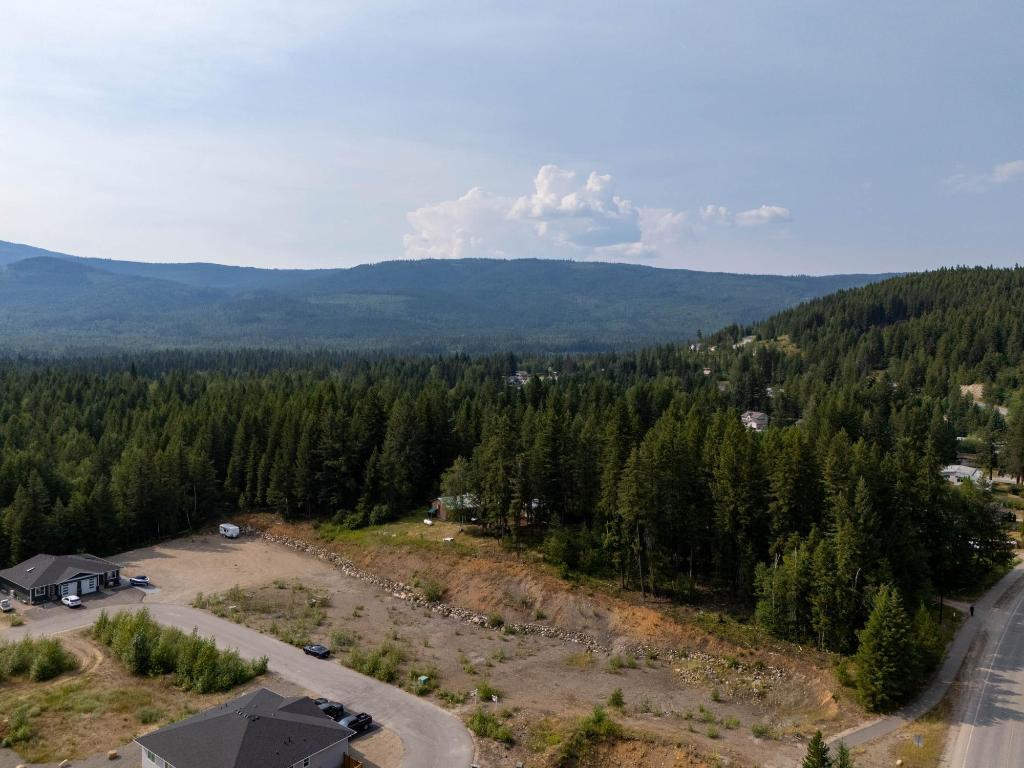 461 Lytton Crescent, Clearwater, BC - Outdoor With View