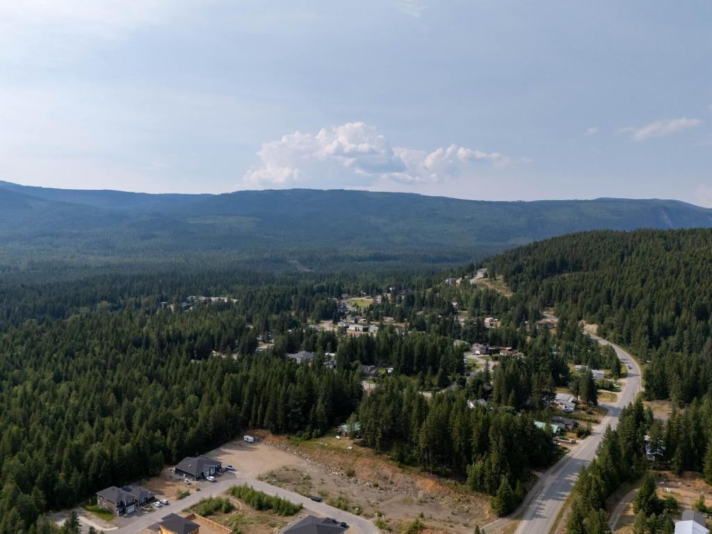 461 Lytton Crescent, Clearwater, BC - Outdoor With View