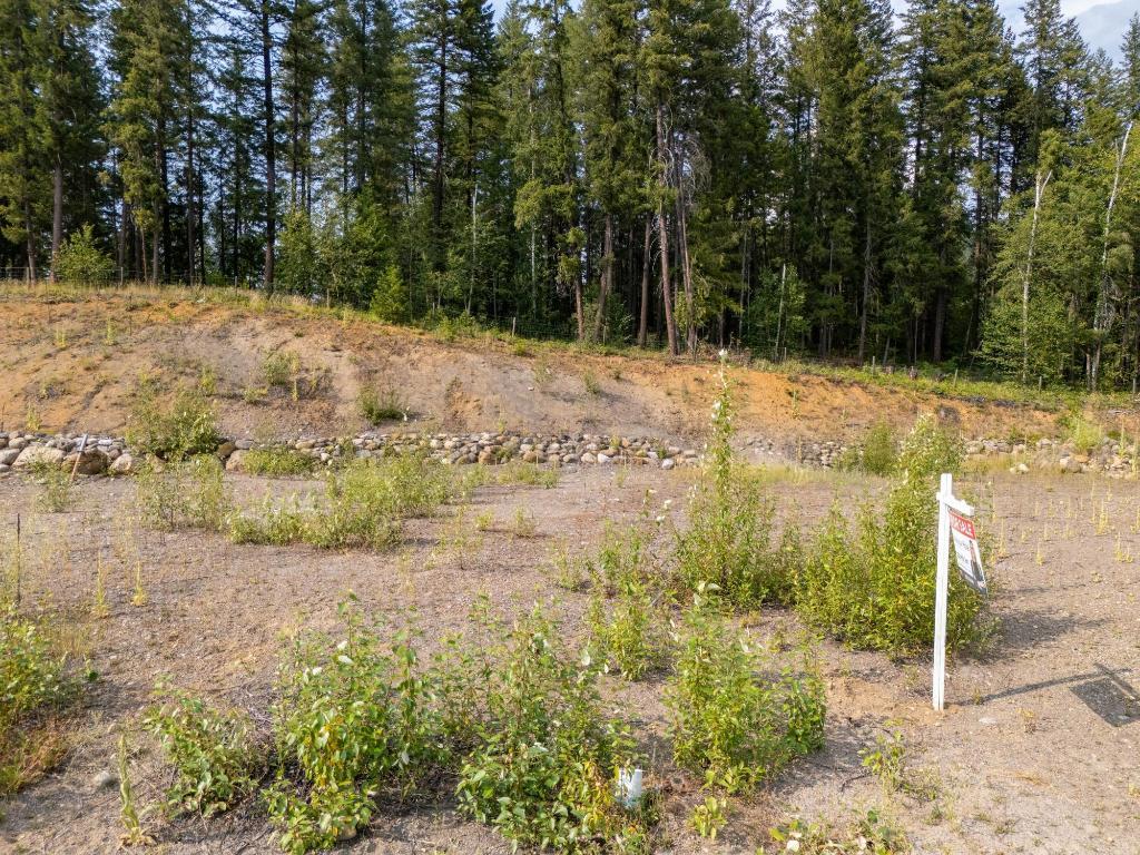 461 Lytton Crescent, Clearwater, BC - Outdoor With View