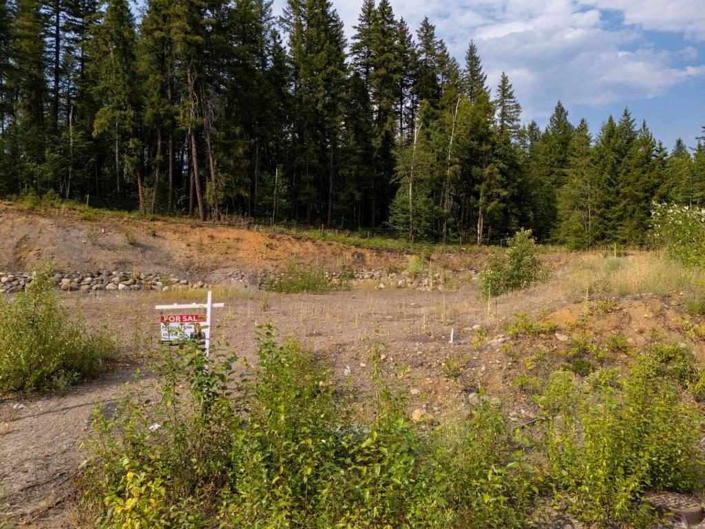 461 Lytton Crescent, Clearwater, BC - Outdoor With View