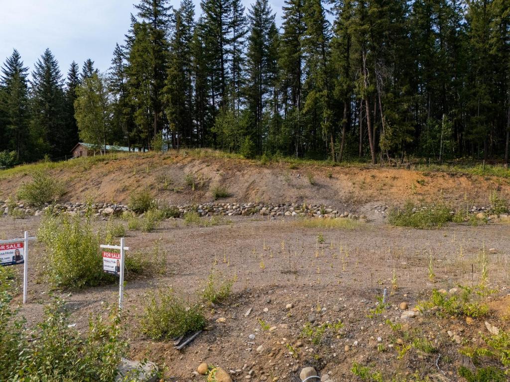 461 Lytton Crescent, Clearwater, BC - Outdoor