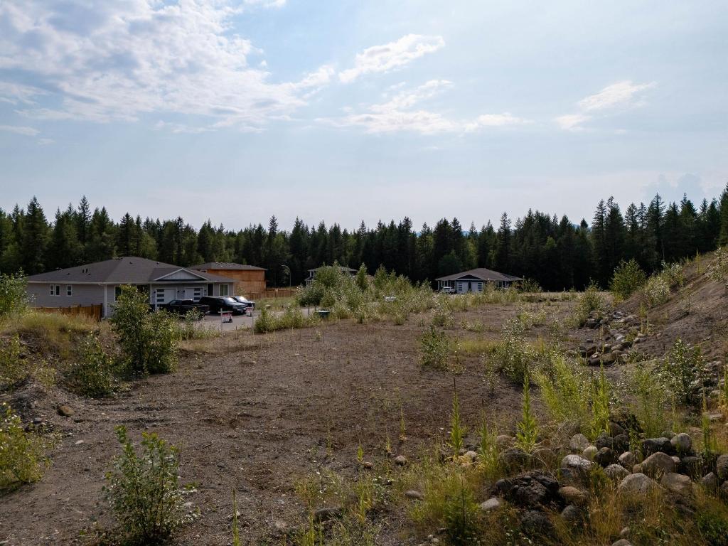 461 Lytton Crescent, Clearwater, BC - Outdoor With View