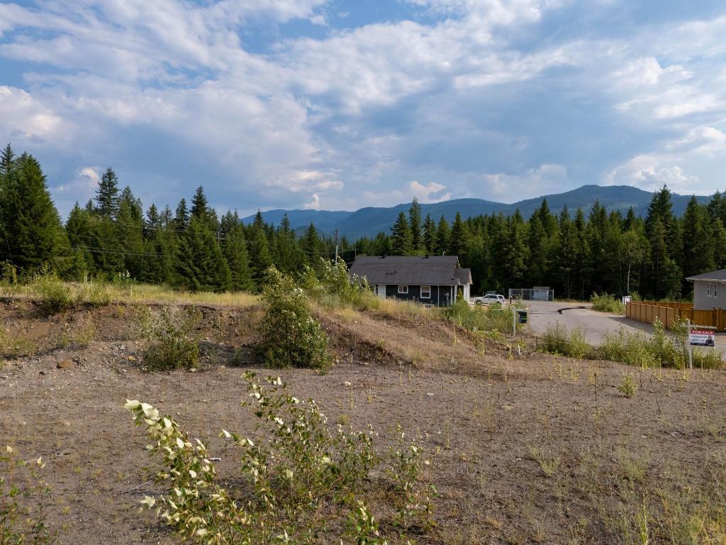 461 Lytton Crescent, Clearwater, BC - Outdoor With View