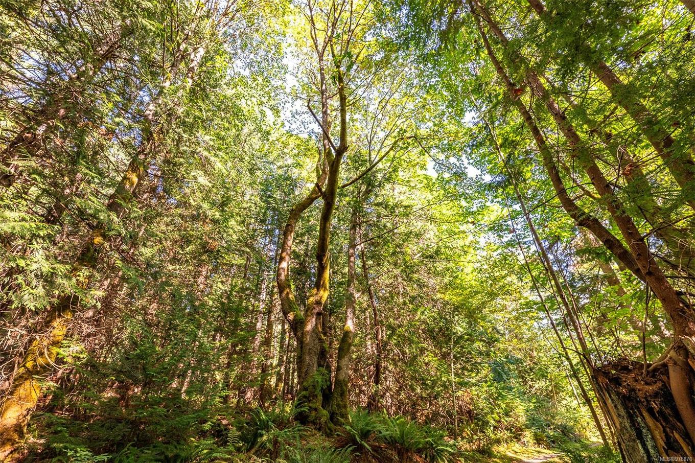 12683 Highway 101 Hwy, Powell River, BC