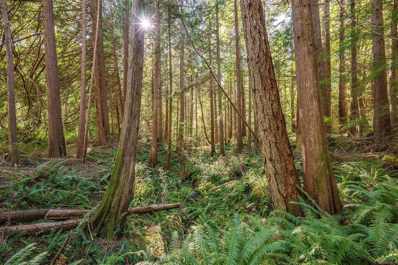 12683 Highway 101 Hwy, Powell River, BC