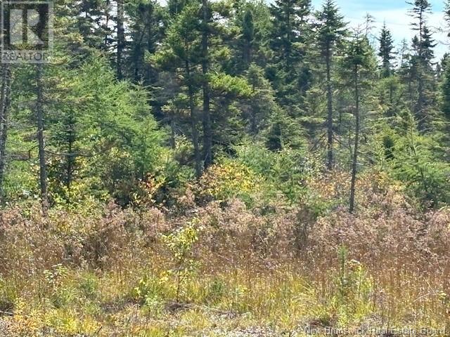 454 St. Martin'S Road, Saint John, NB