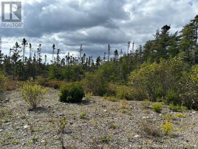 454 St. Martin'S Road, Saint John, NB