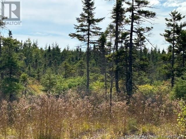 454 St. Martin'S Road, Saint John, NB