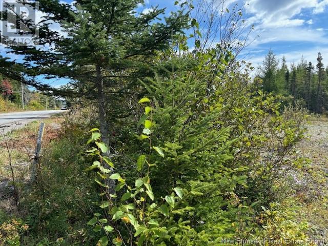 454 St. Martin'S Road, Saint John, NB