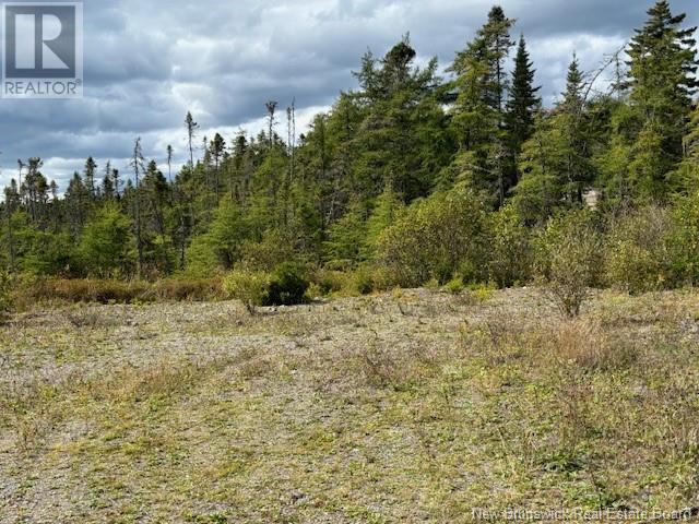 454 St. Martin'S Road, Saint John, NB