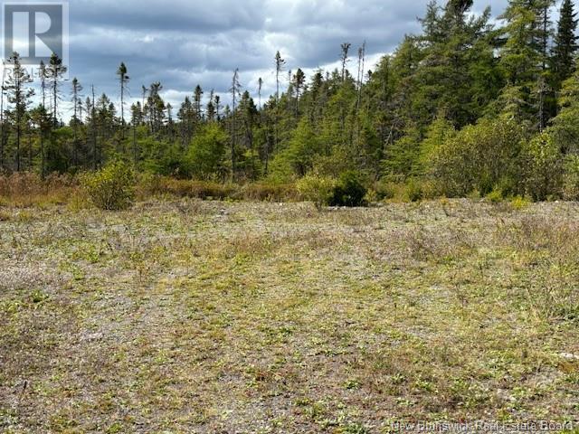 454 St. Martin'S Road, Saint John, NB