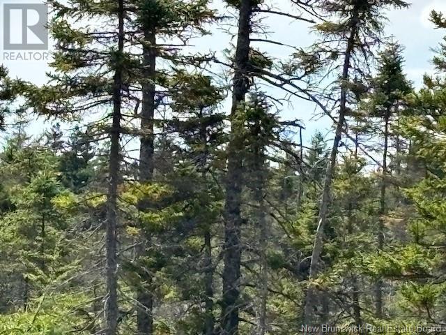 454 St. Martin'S Road, Saint John, NB