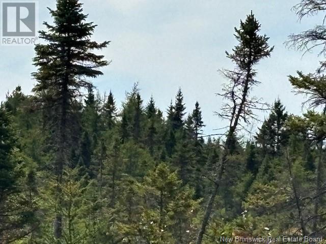 454 St. Martin'S Road, Saint John, NB