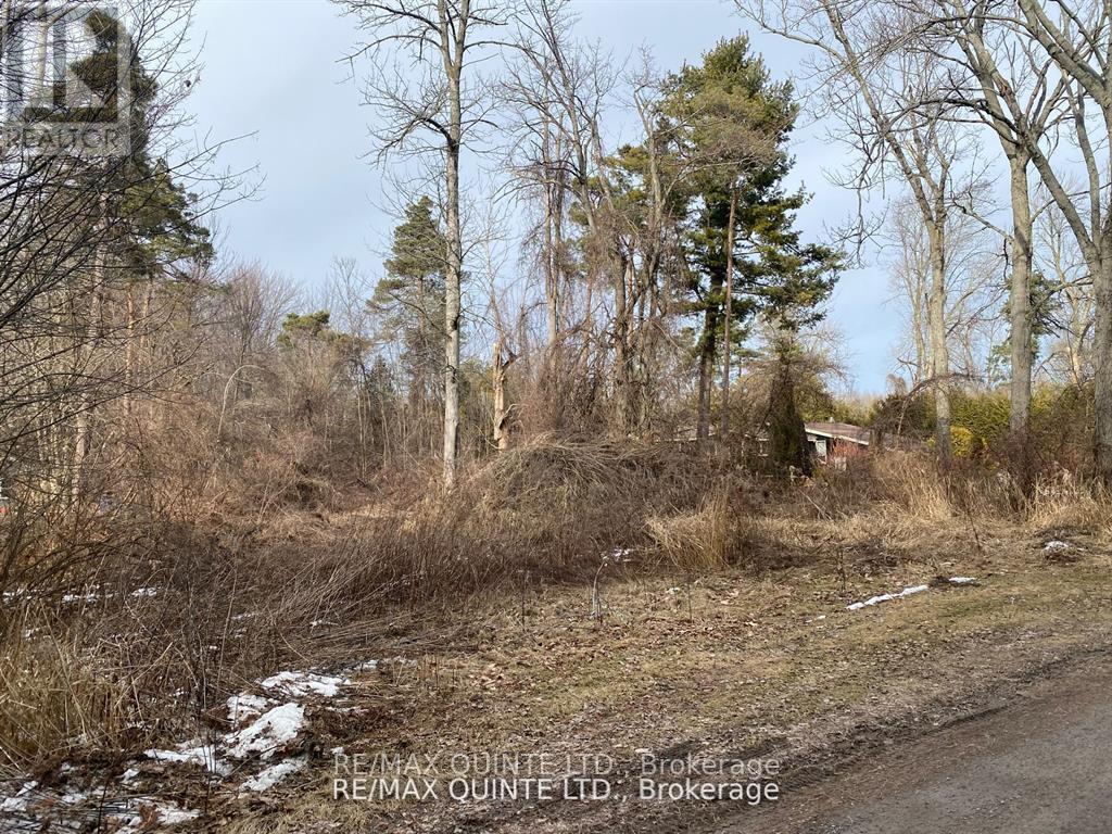 149 Evergreen Lane, Brighton, ON