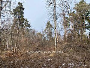 149 Evergreen Lane, Brighton, ON