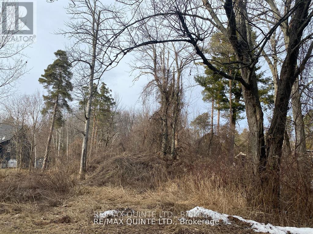 149 Evergreen Lane, Brighton, ON