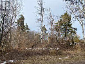 149 Evergreen Lane, Brighton, ON