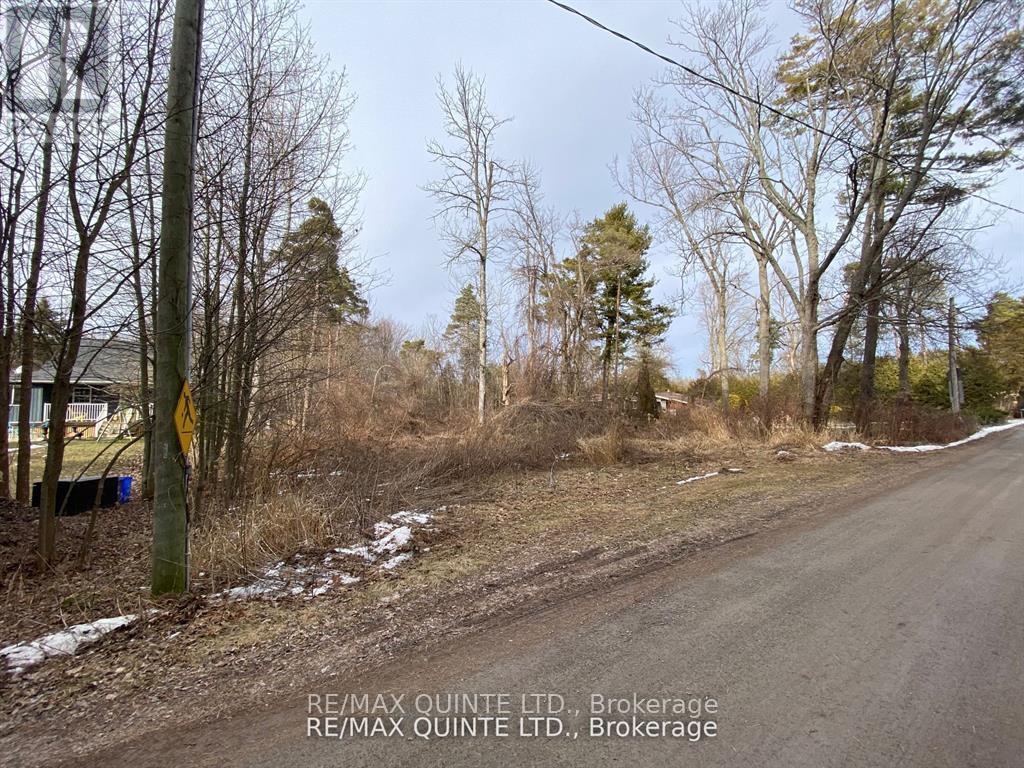 149 Evergreen Lane, Brighton, ON