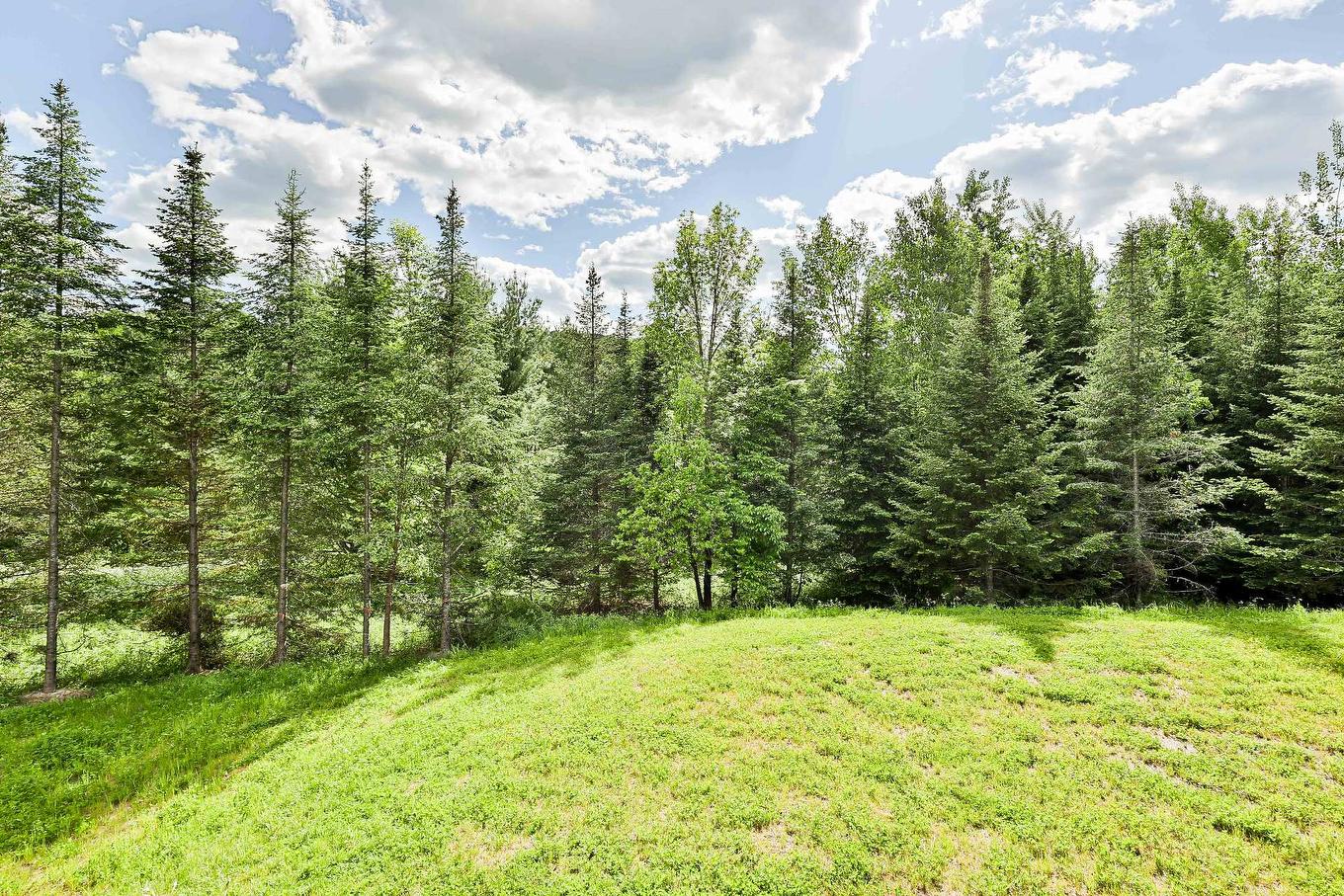 Extérieur - 1704 Place Des Centaurées, Piedmont, QC - Outdoor With View