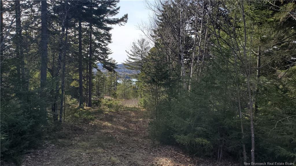 Lot 13 Eagles Passage, Chamcook, NB